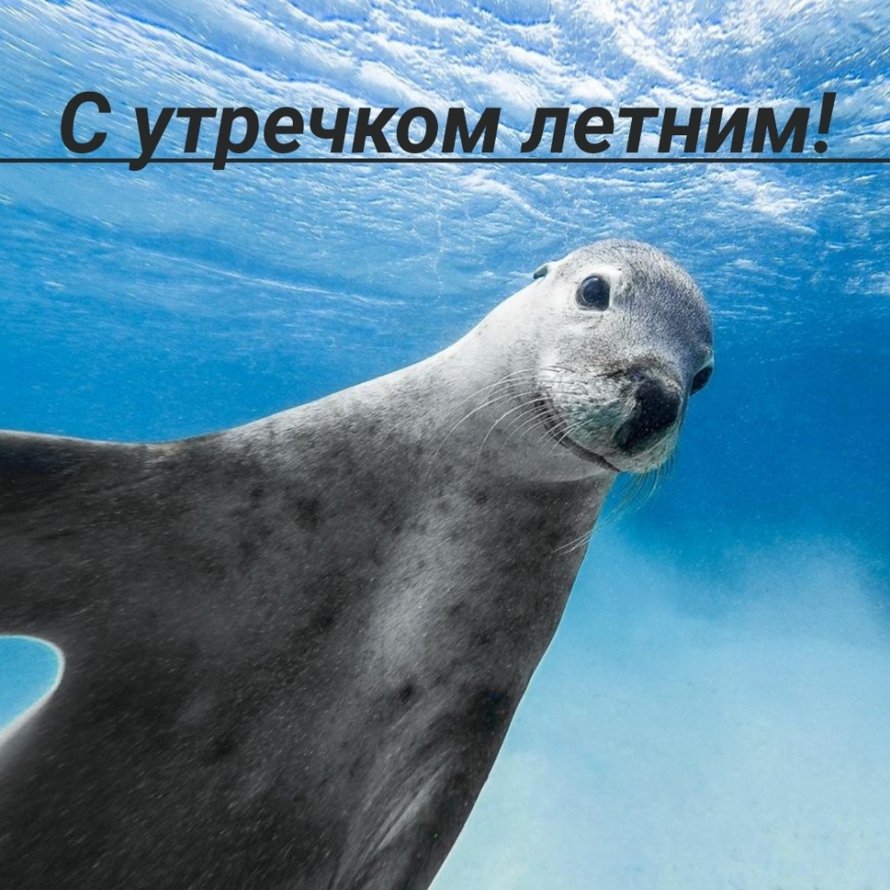 С утречком летним!