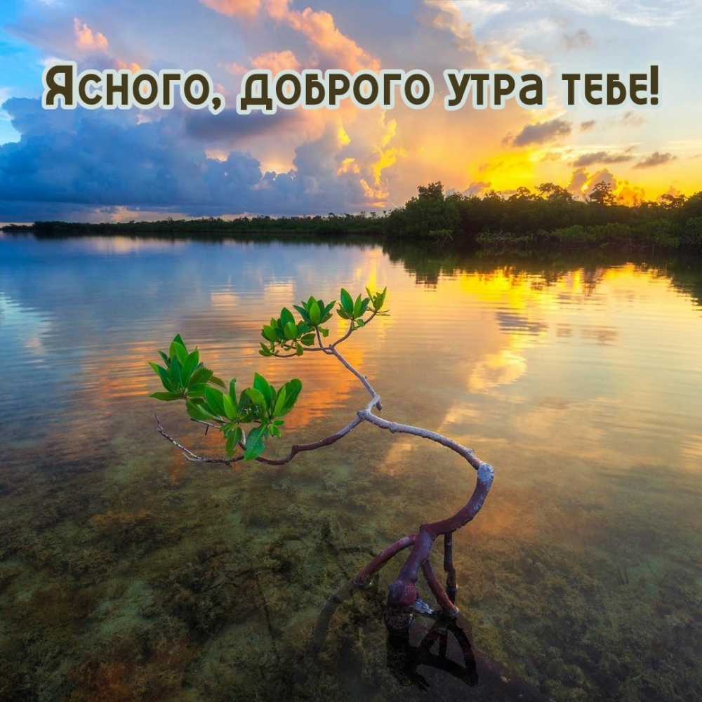 Ясного, доброго утра тебе!