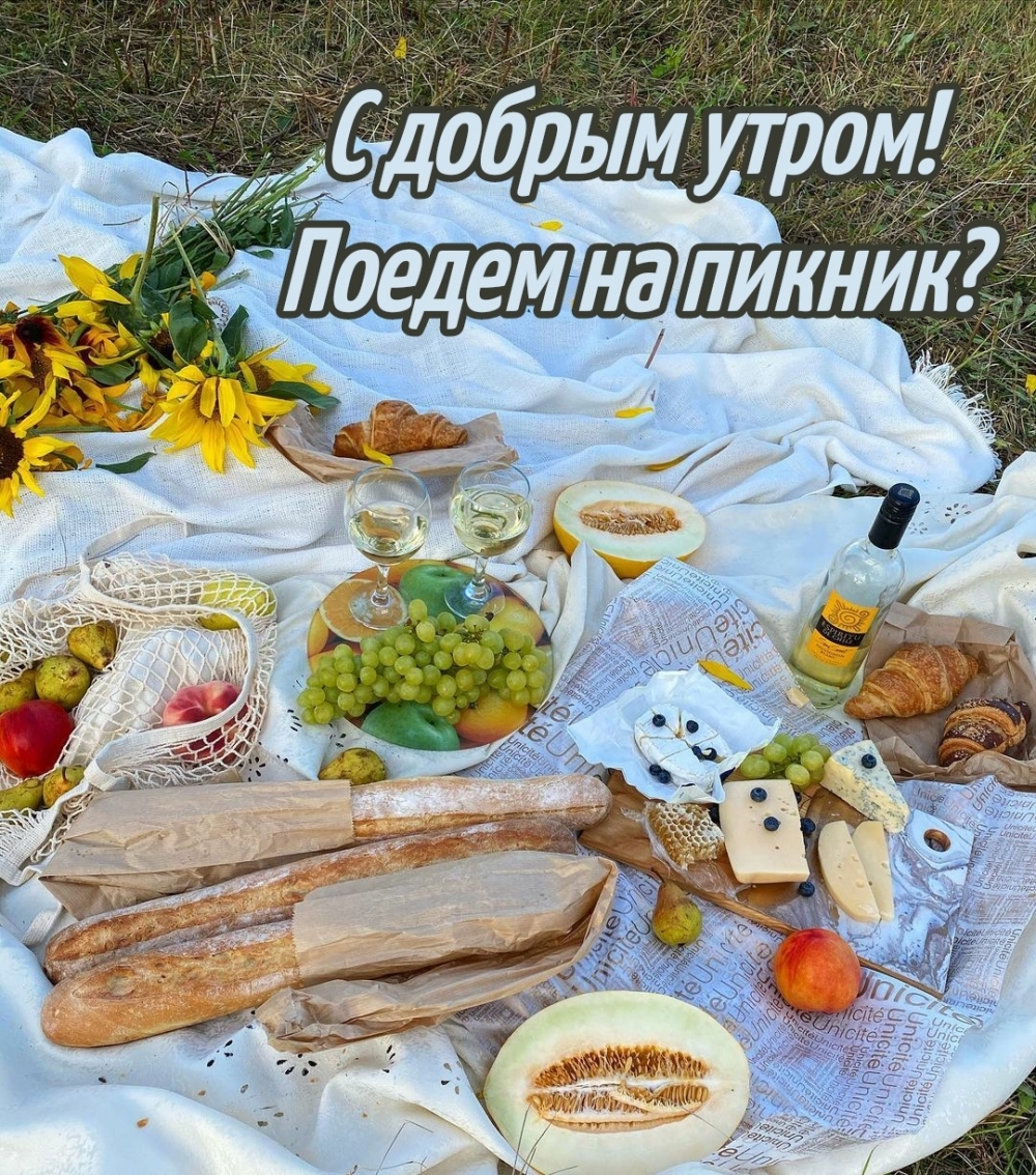С добрым утром! Поедем на пикник?