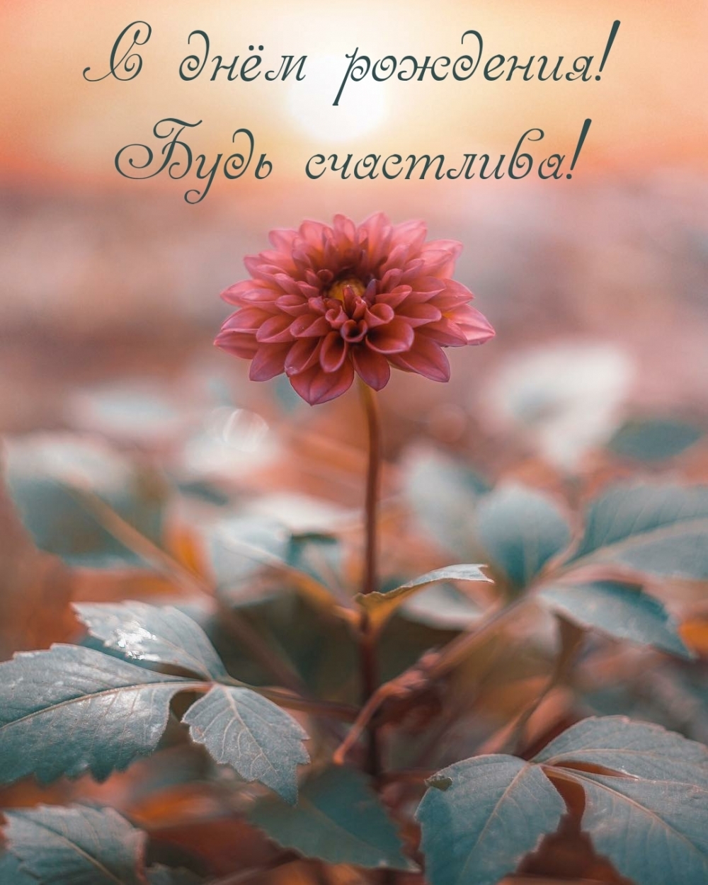 С днём рождения! Будь счастлива!