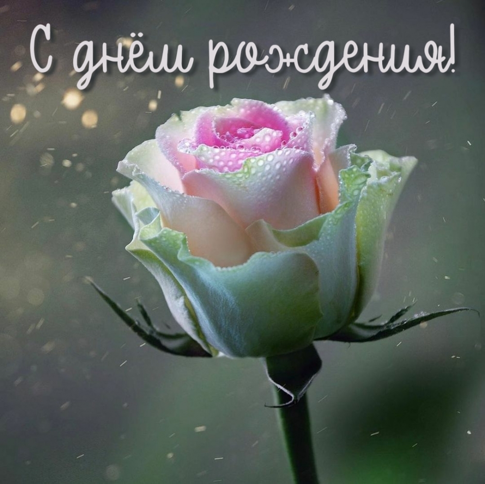 С днём рождения!