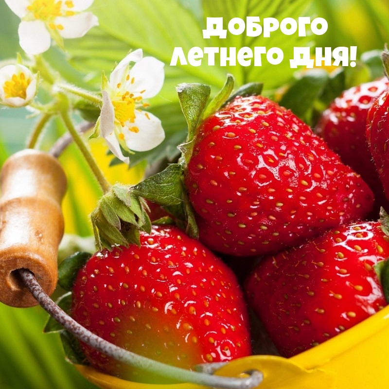 Доброго летнего дня!