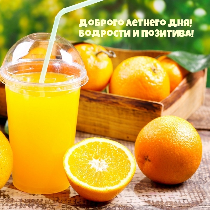 Доброго летнего дня! Бодрости и позитива!