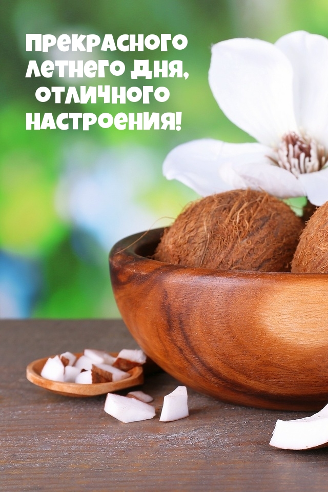 Прекрасного летнего дня, отличного настроения!