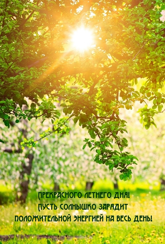 Прекрасного летнего дня!