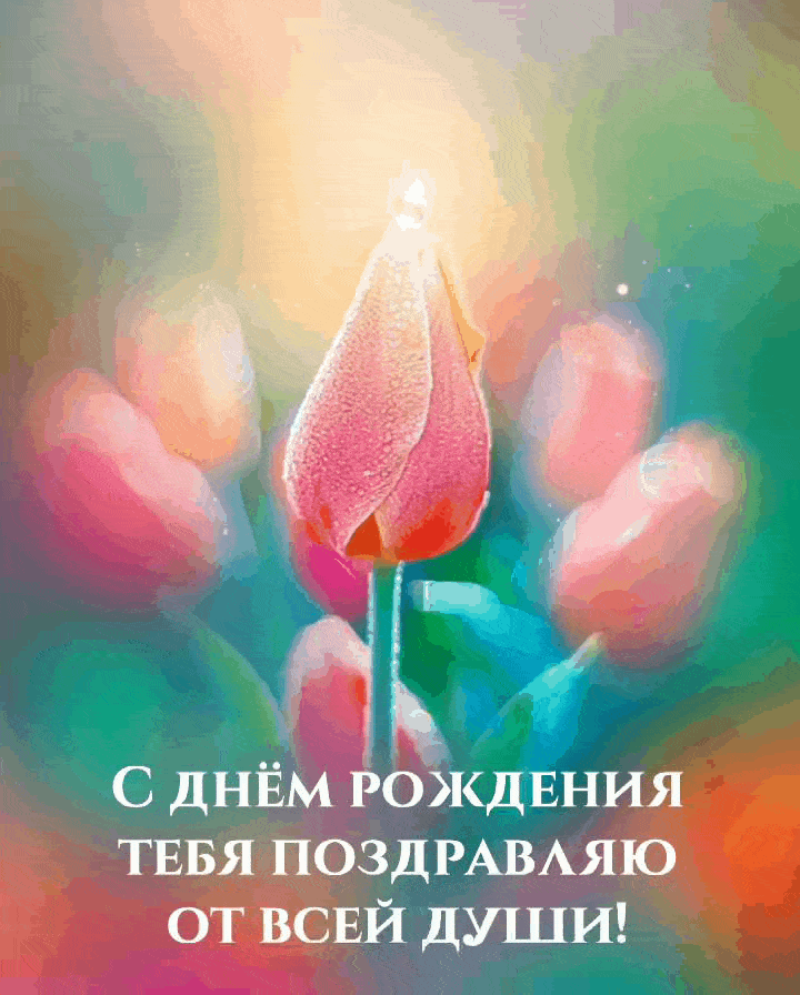 С днём рождения тебя поздравляю от всей души!