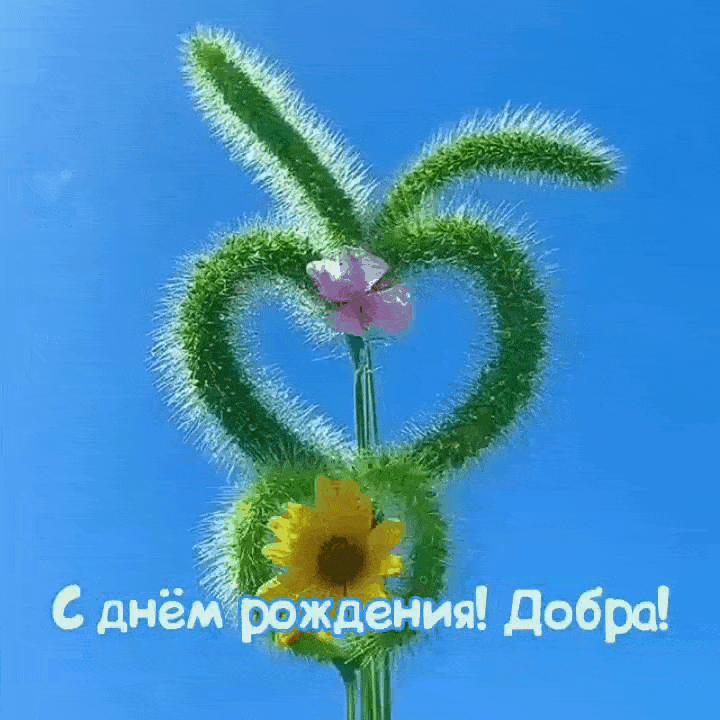 С днём рождения! Добра!