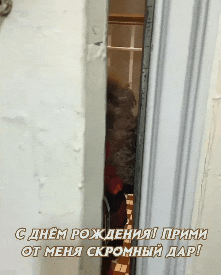 С днём рождения! Прими от меня скромный дар!