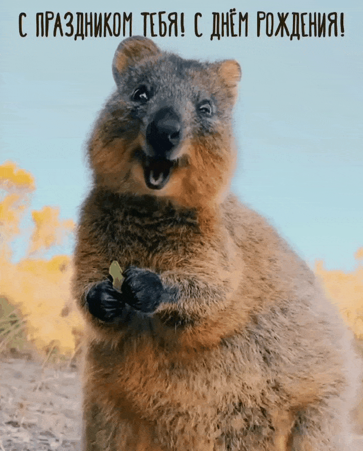 С праздником тебя! С днём рождения!