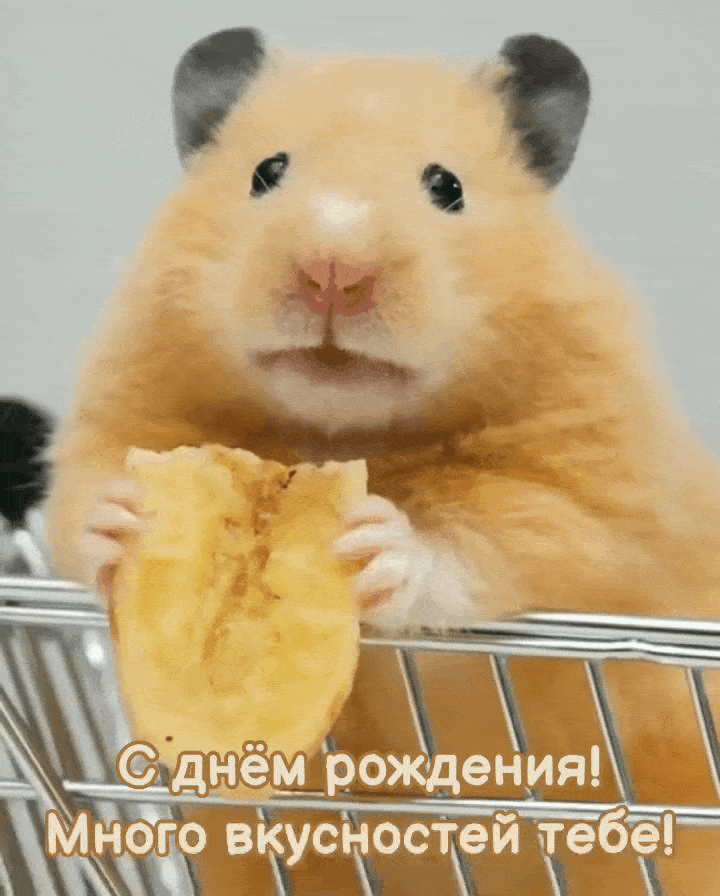 С днём рождения! Много вкусностей тебе!