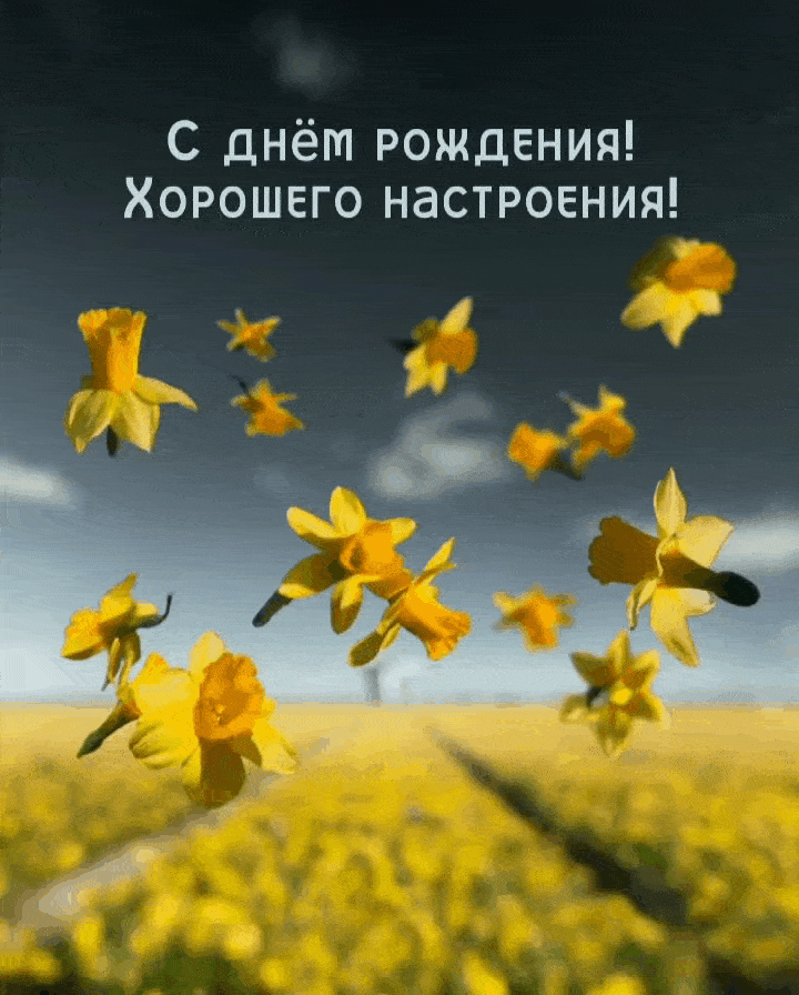 С днём рождения! Хорошего настроения!