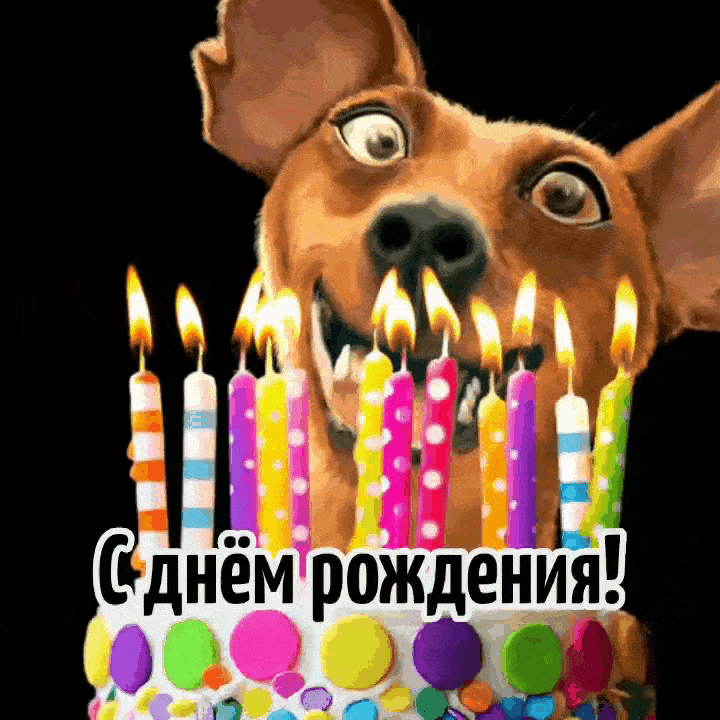 С днём рождения!