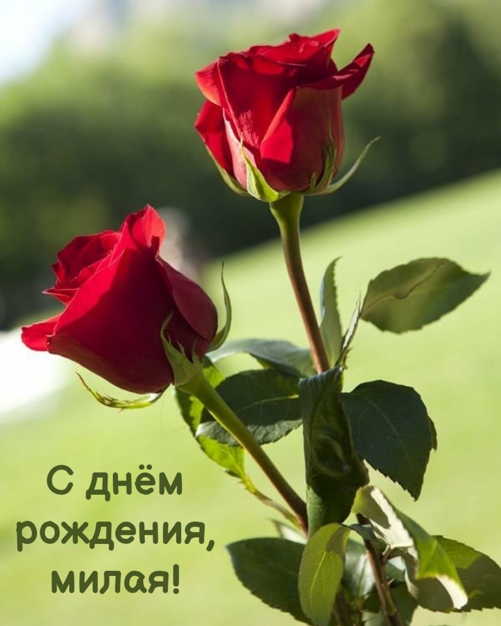 С днём рождения, милая!
