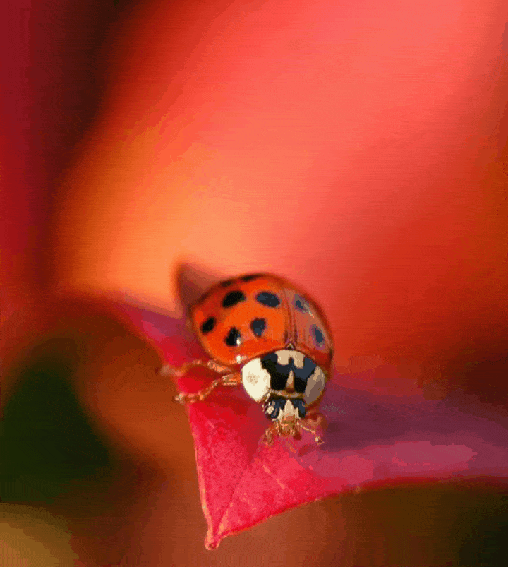 Поздравляю тебя с днём рождения!
