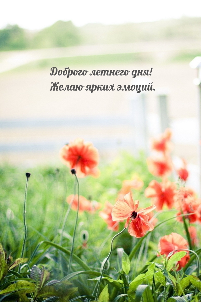 Доброго летнего дня! Желаю ярких эмоций.