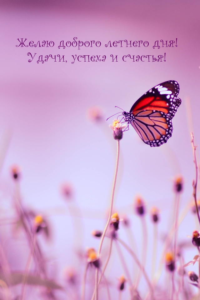 Желаю доброго летнего дня! Удачи, успеха и счастья!