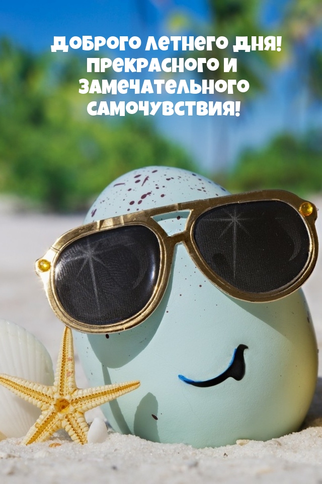 Доброго летнего дня!