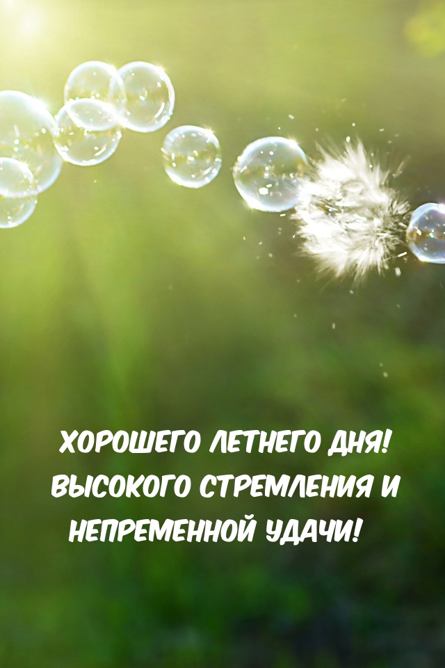 Хорошего летнего дня! Высокого стремления