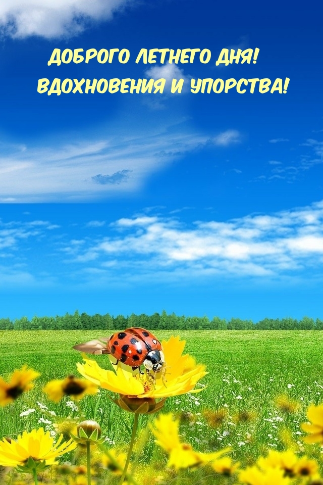 Доброго летнего дня! Вдохновения и упорства!
