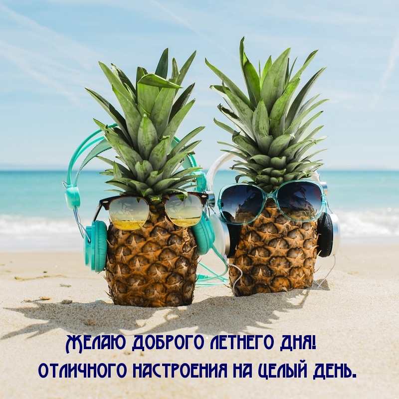 Желаю доброго летнего дня!