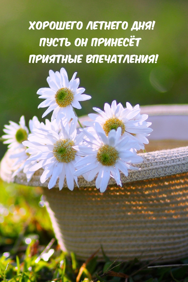 Хорошего летнего дня! Пусть он принесёт приятные впечатления!