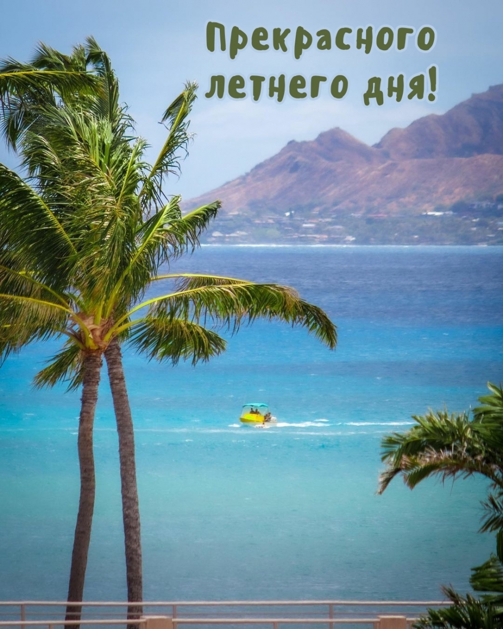 Прекрасного летнего дня!