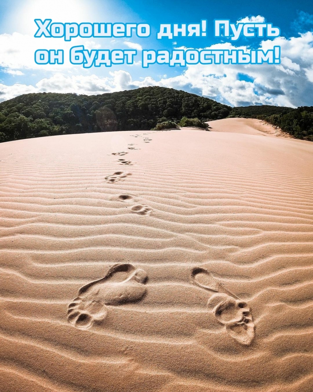 Хорошего дня! Пусть он будет радостным!