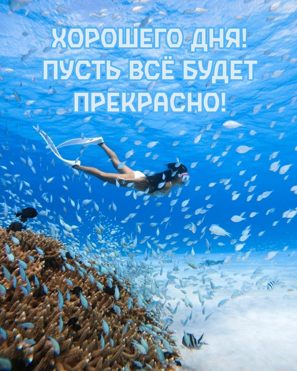 Хорошего дня! Пусть всё будет прекрасно!