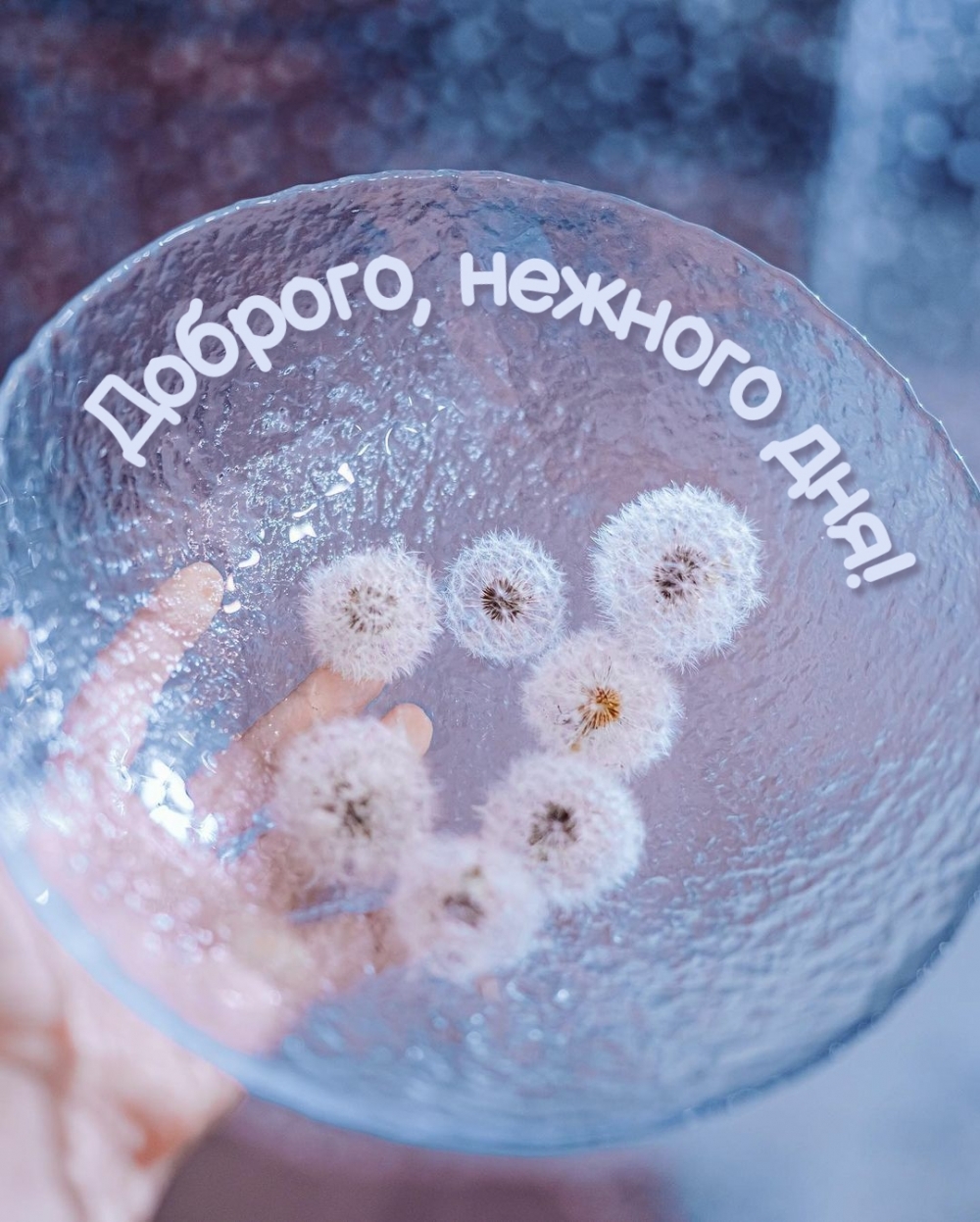Доброго, нежного дня!