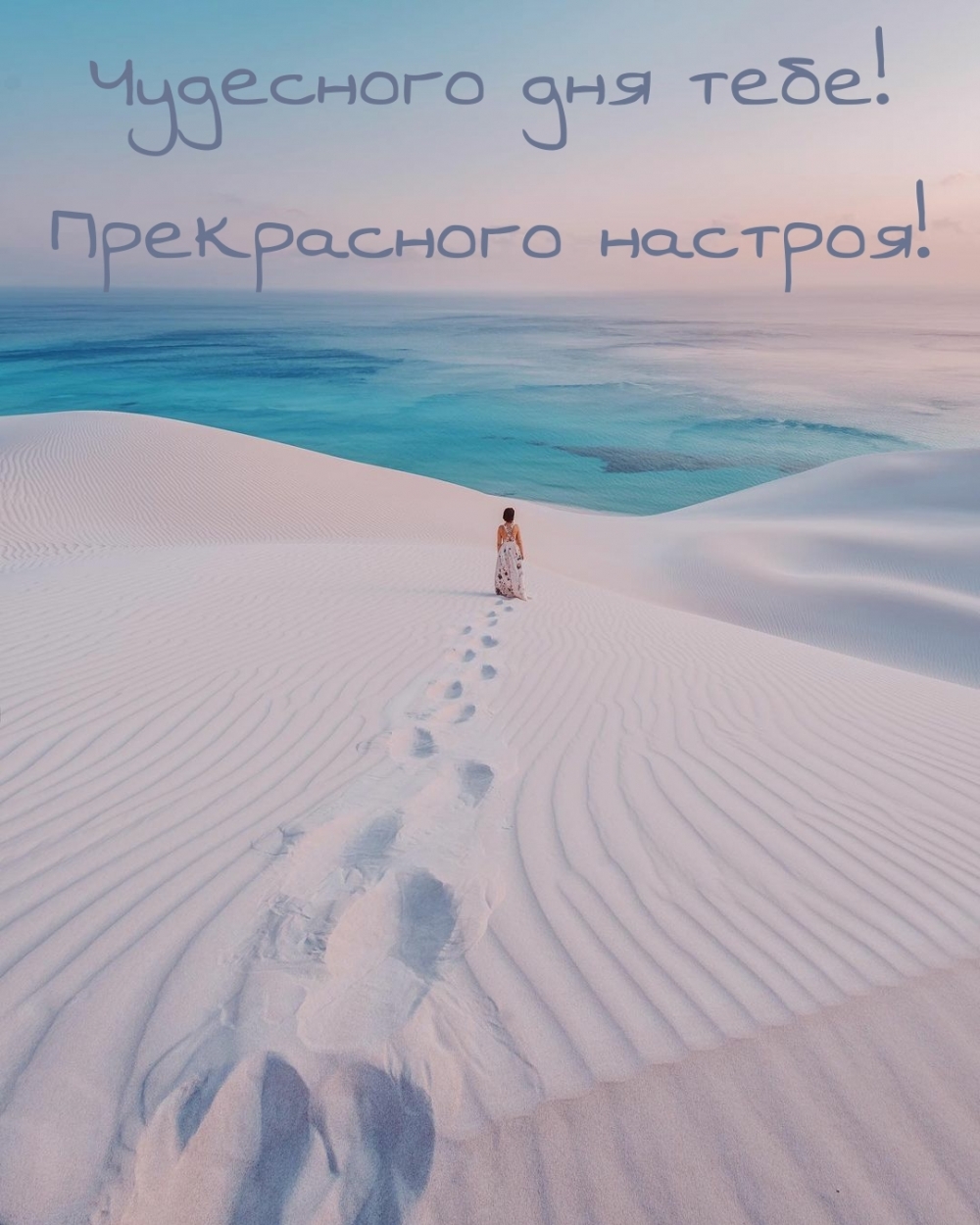 Чудесного дня тебе! Прекрасного настроя!