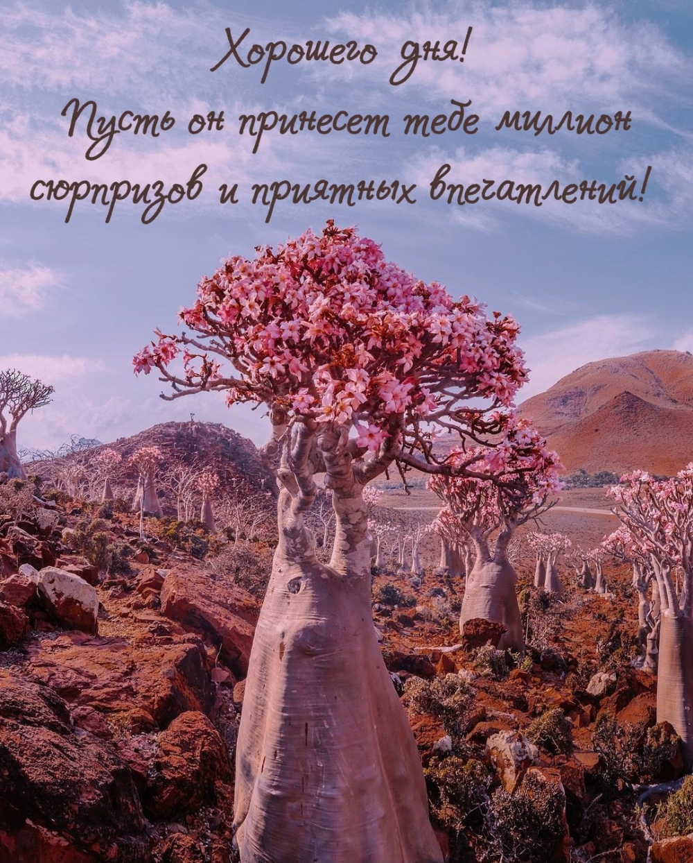 Хорошего дня! Пусть он принесет тебе миллион сюрпризов