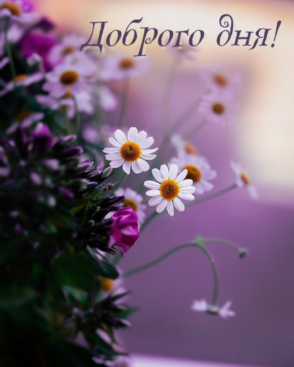 Доброго дня!