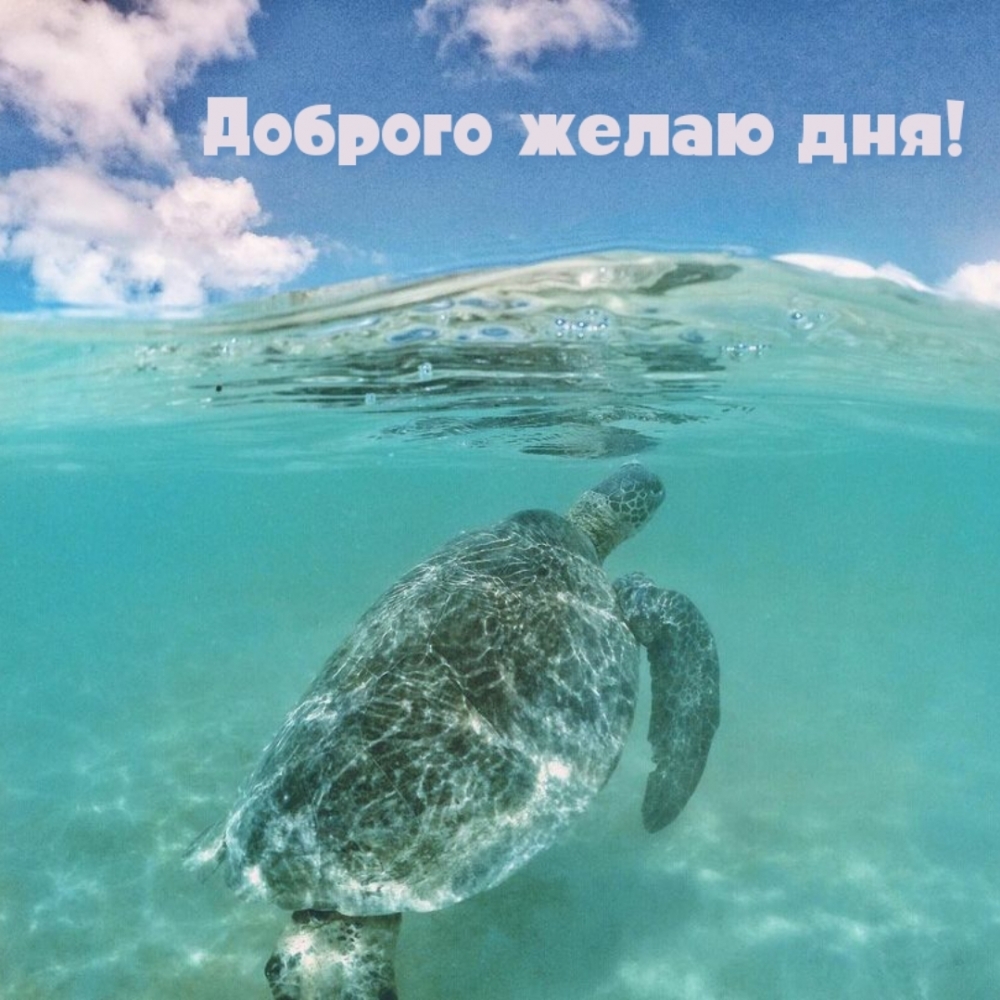 Доброго желаю дня!