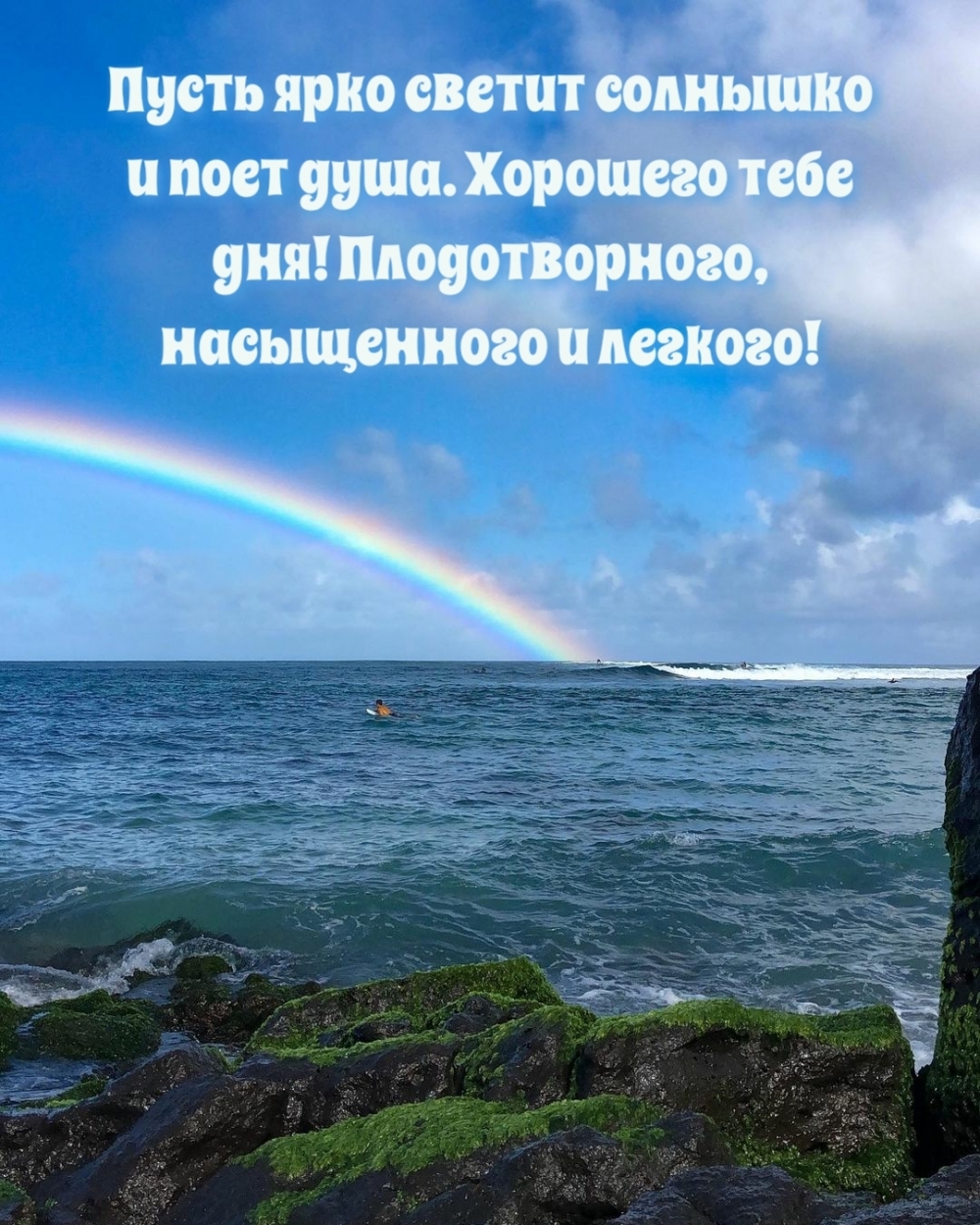 Пусть ярко светит солнышко и поет душа. Хорошего тебе дня!