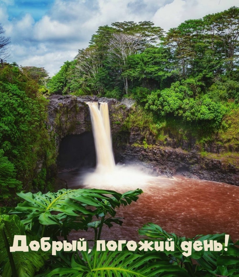 Картинки с надписями.  Добрый, погожий день!.