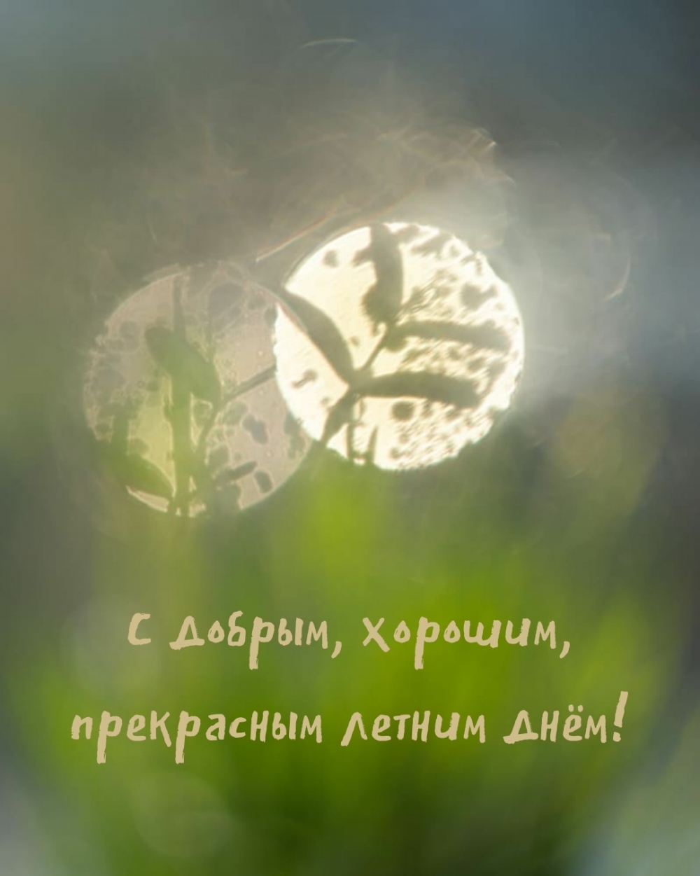 С добрым, хорошим, прекрасным летним днём!