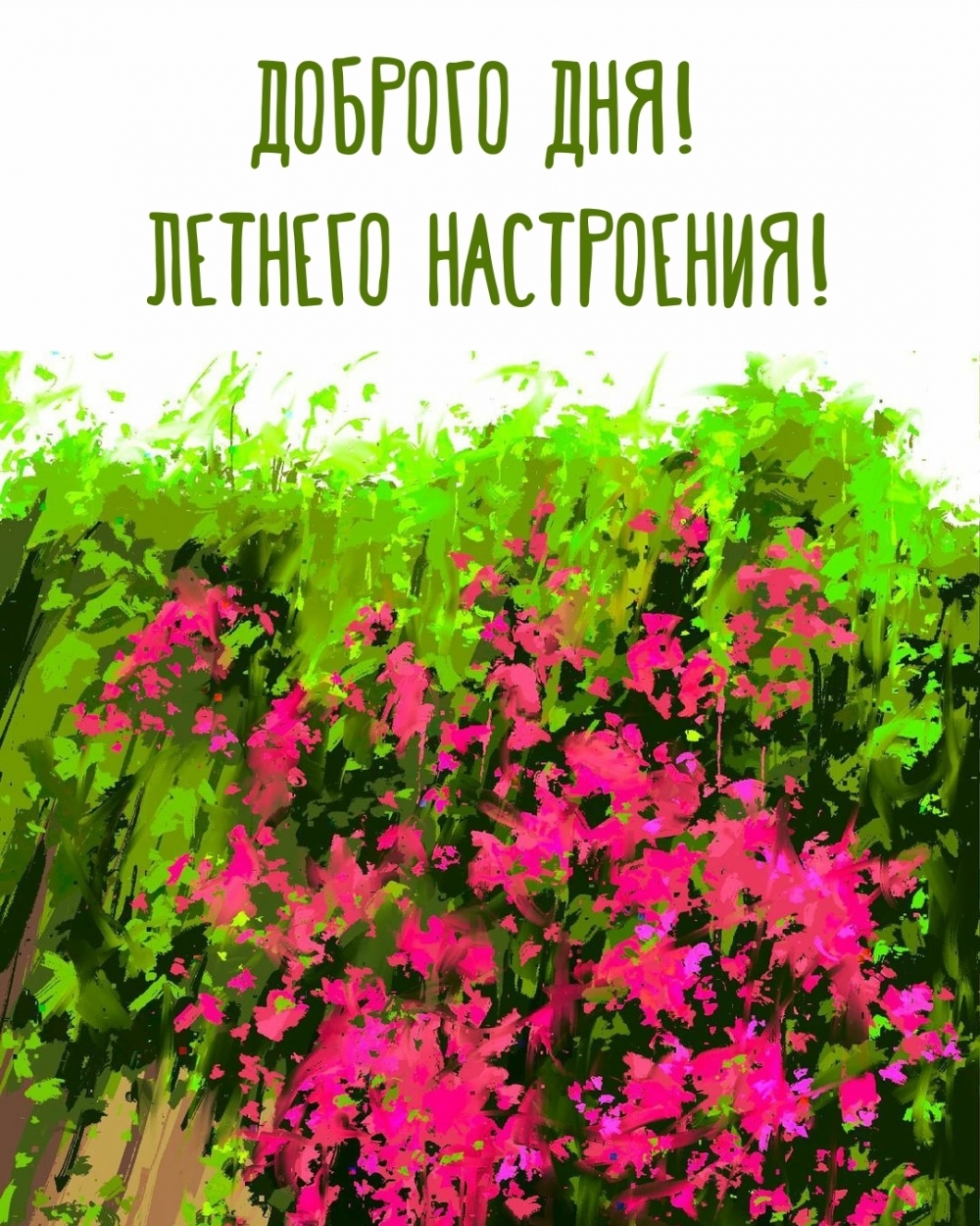 Доброго дня! Летнего настроения!