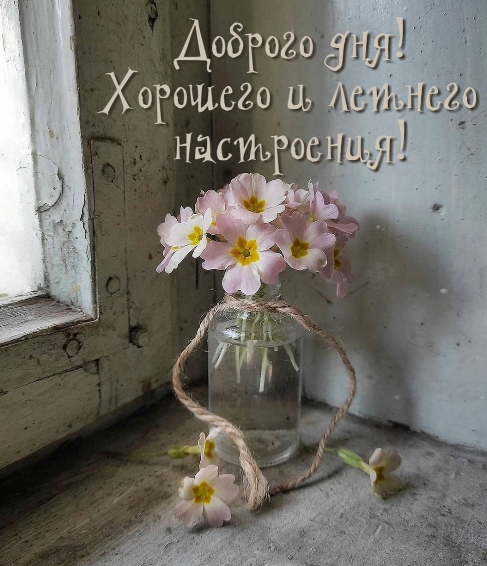 Доброго дня! Хорошего и летнего настроения!