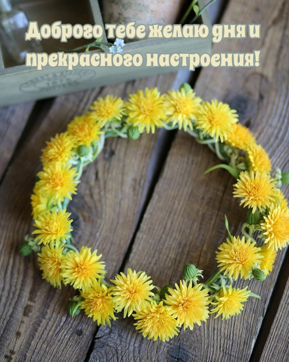 Доброго тебе желаю дня и прекрасного настроения!