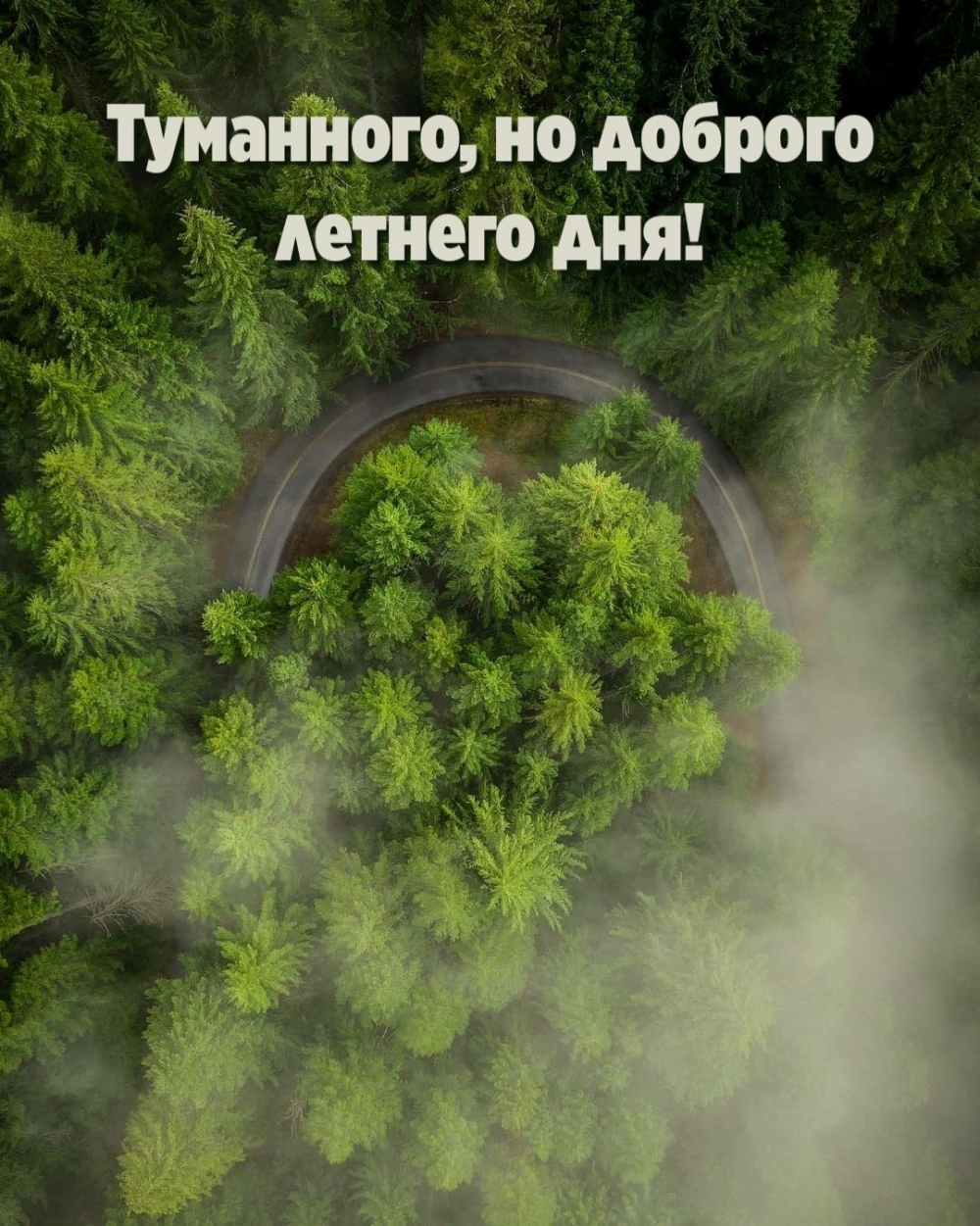 Туманного, но доброго летнего дня!