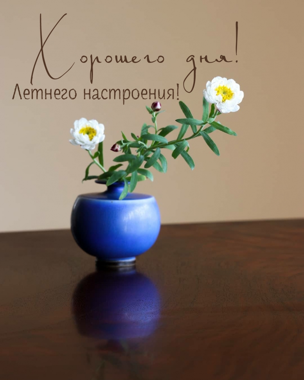 Хорошего дня! Летнего настроения!