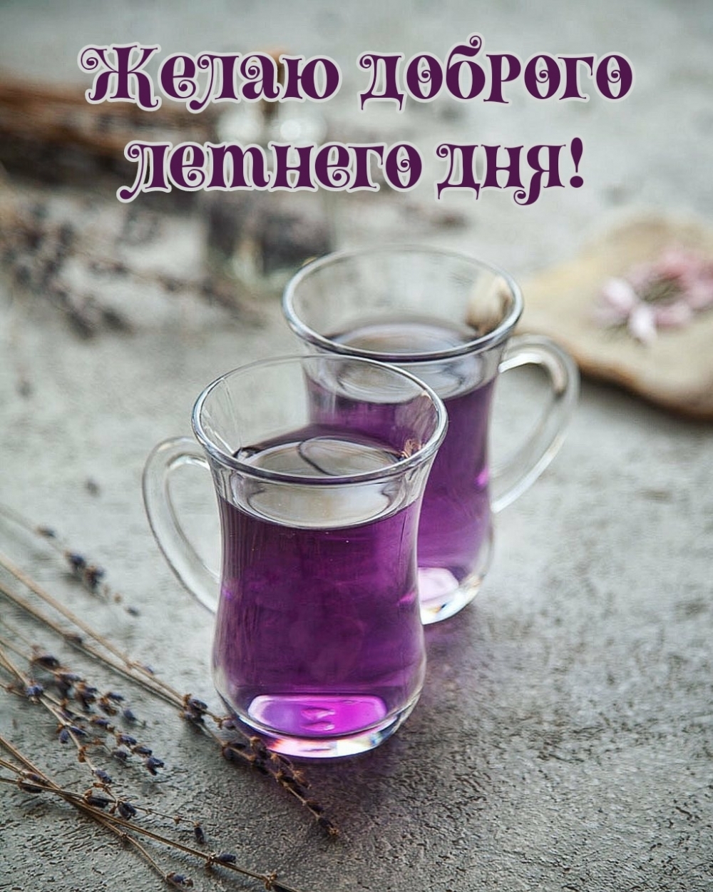 Желаю доброго летнего дня!