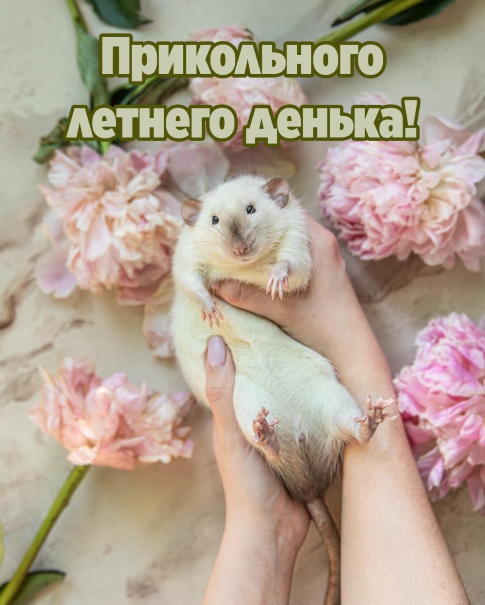 Прикольного летнего денька!