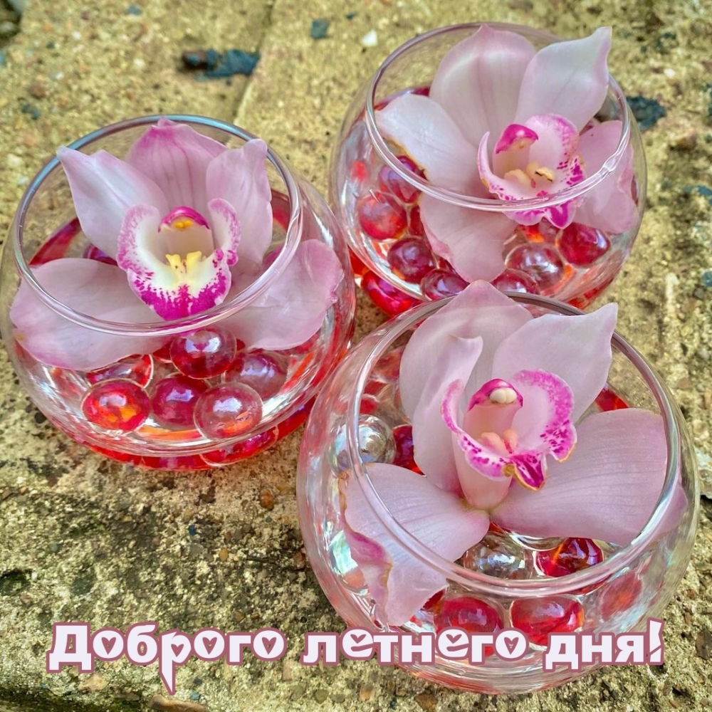 Доброго летнего дня!