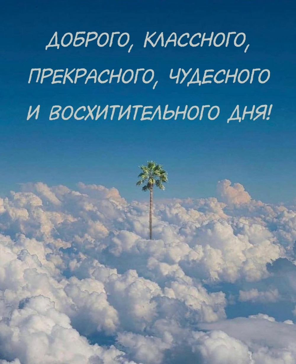 Доброго, классного, прекрасного, чудесного и восхитительного дня!
