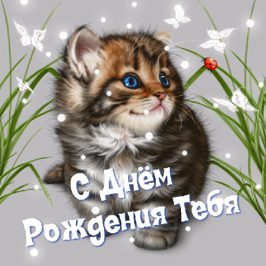 С Днём Рождения Тебя!