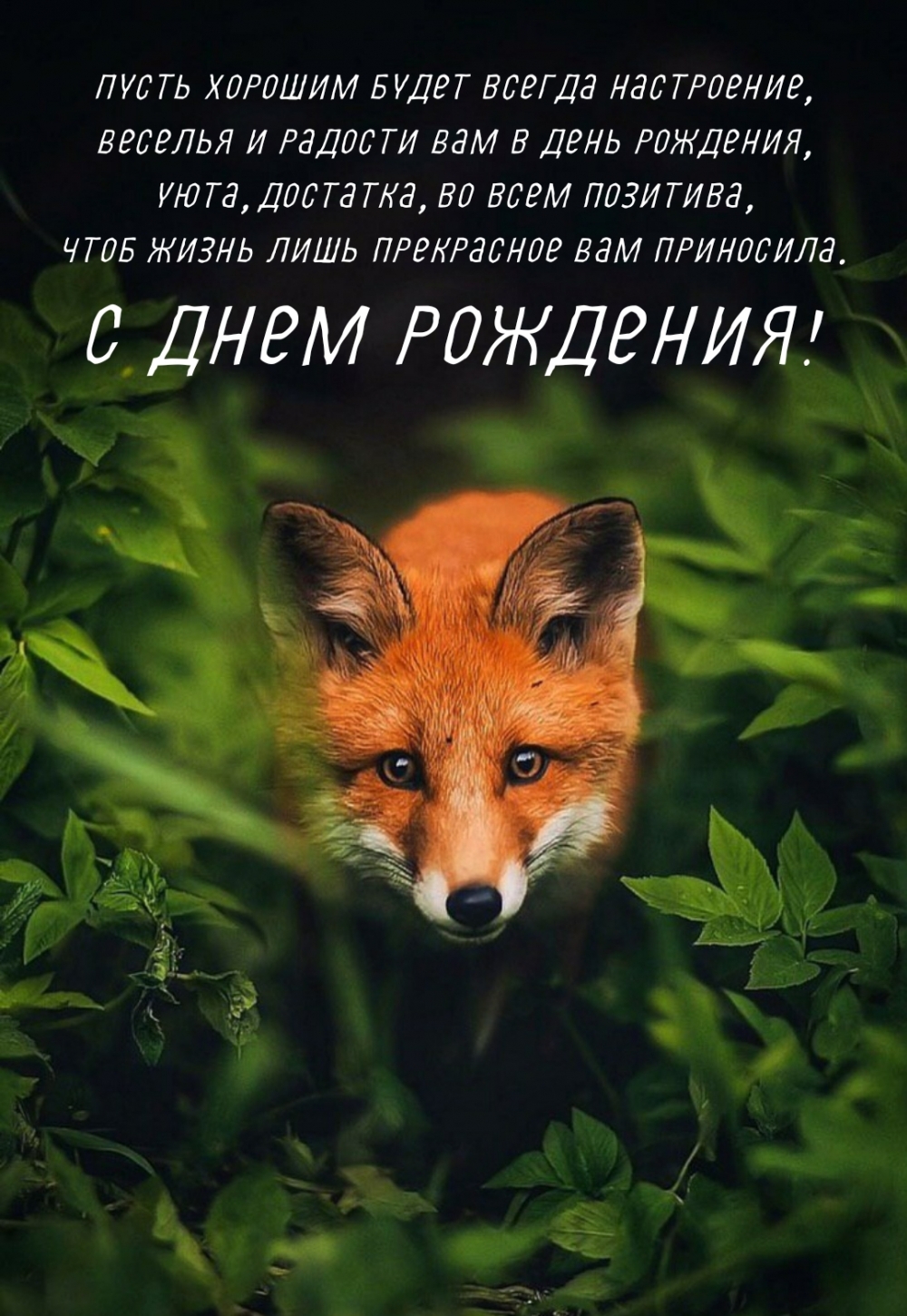 С днём рождения! Пусть хорошим будет всегда настроение