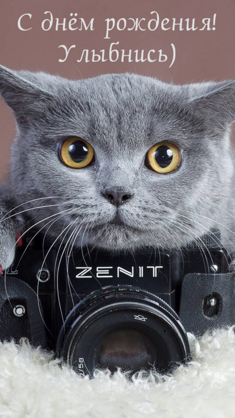 С днём рождения! Улыбнись)