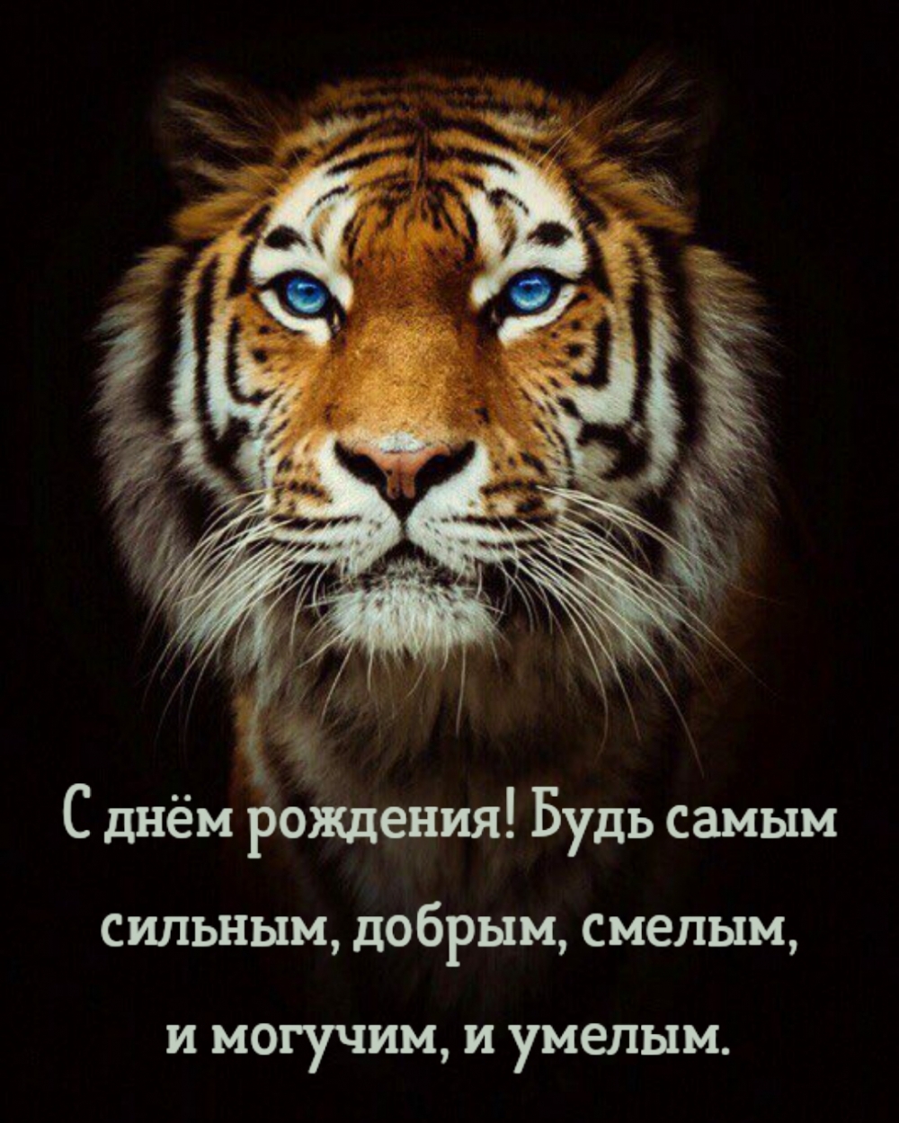 С днём рождения! Будь самым сильным, добрым, смелым