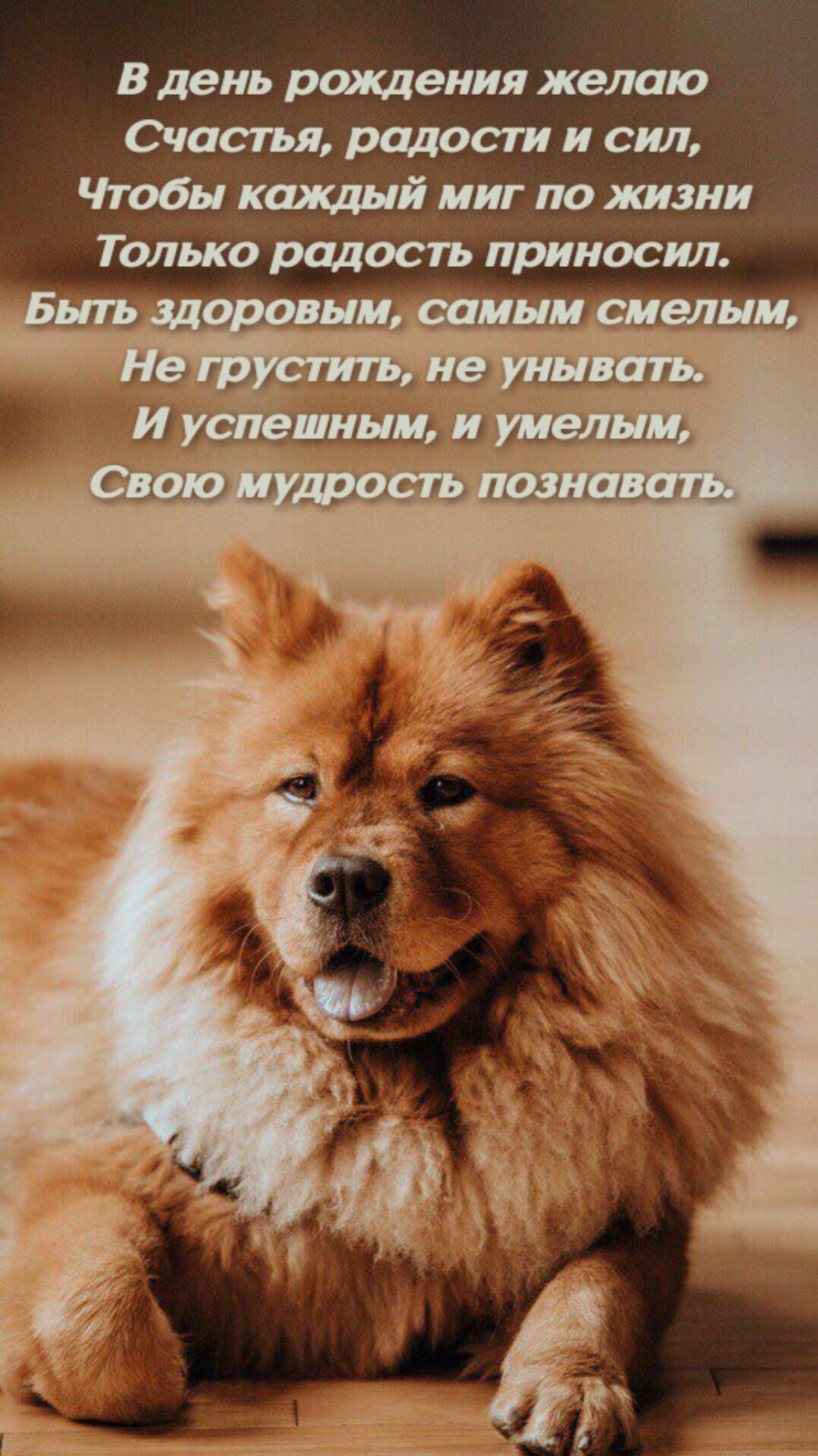 В день рождения желаю счастья, радости и сил